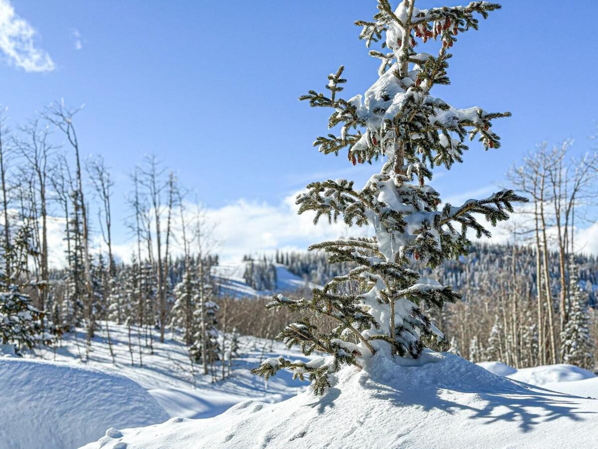 Eagle Roost Retreat By Ski Lifts Brian Head Exteriér fotografie